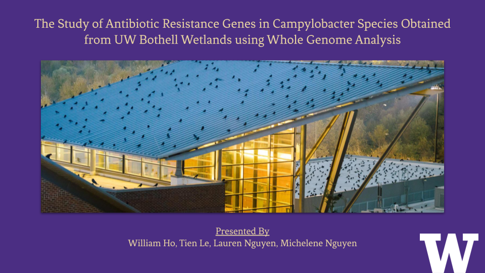 The Study of Antibiotic Resistance Genes in Campylobacter Species Obtained from UW Bothell Wetlands Using Whole Genome Analysis Poster